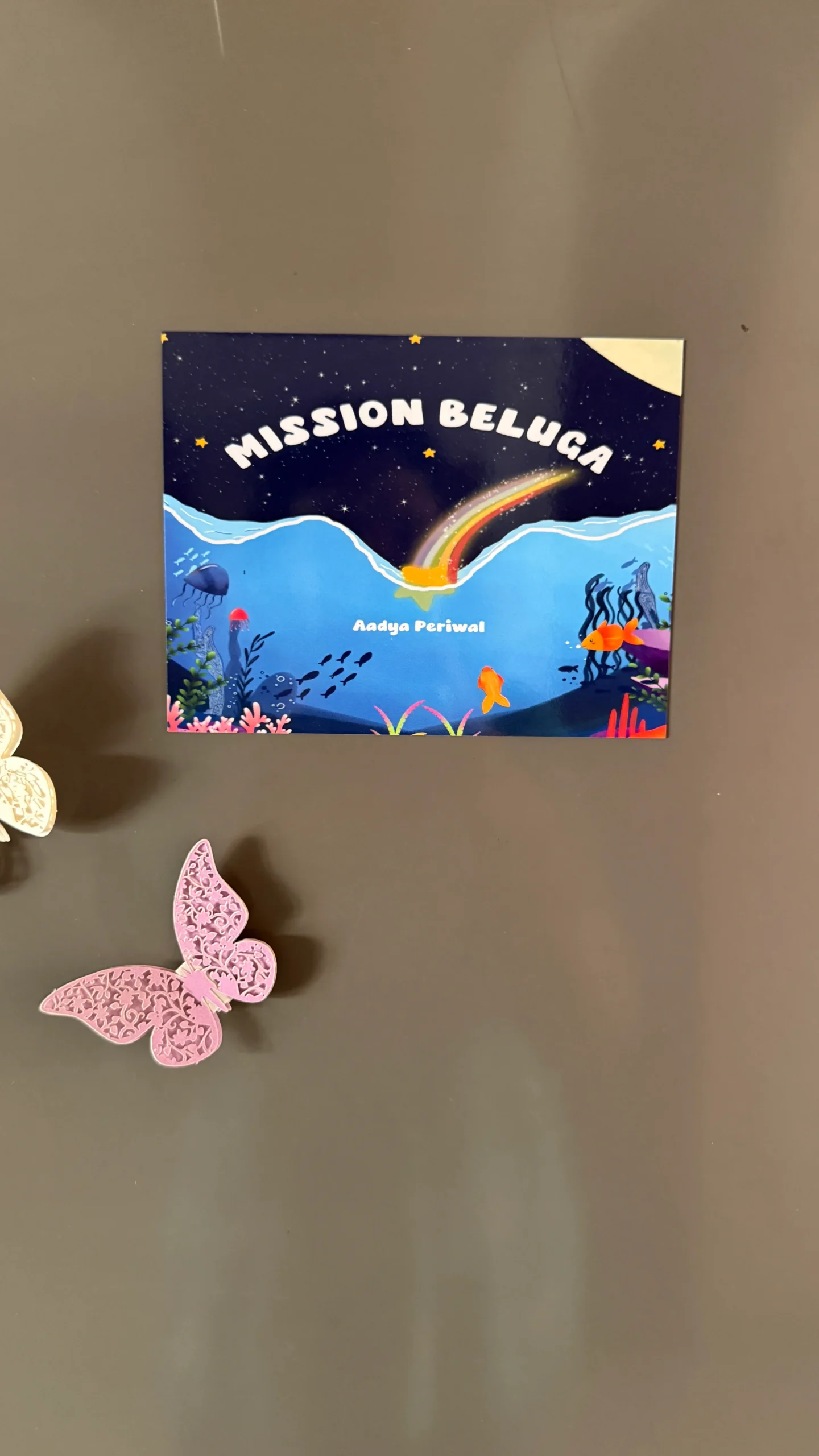 Custom book merchandise showcase
